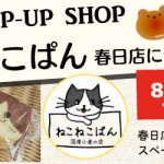 【春日店】ねこねこぱんがやってくる