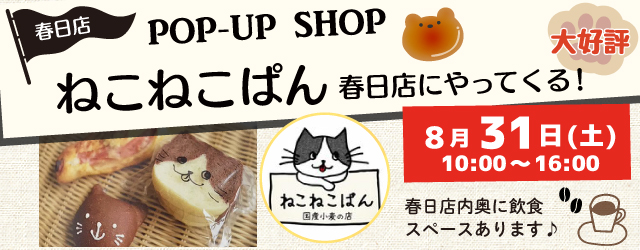 【サンカクヤ春日店】ねこねこぱんがやってくる