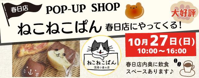 【サンカクヤ春日店】ねこねこぱんがやってくる