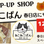 【春日店】ねこねこぱんがやってくる