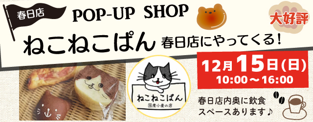 【サンカクヤ春日店】ねこねこぱんがやってくる