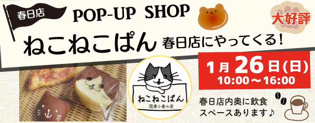 【サンカクヤ春日店】ねこねこぱんがやってくる