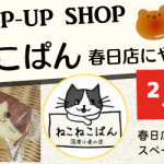 【春日店】ねこねこぱんがやってくる