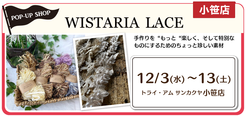 WISTARIA LACE期間限定販売